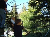 HELA11_0362.jpg