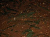 HELA04_0274.jpg