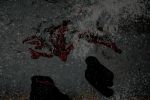HELA07_0293.jpg