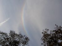 HELA06_0130.jpg
