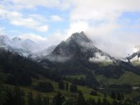 HELA11_0108.jpg